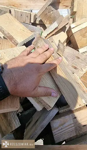 Suche drewno do palenia, odpad (pocięte palety) - Zdjęcie 5 - DEALLO.PL