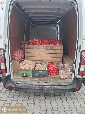 Jabłka Ziemniaki Cebula Marchew Gruszka Soki - DEALLO.PL