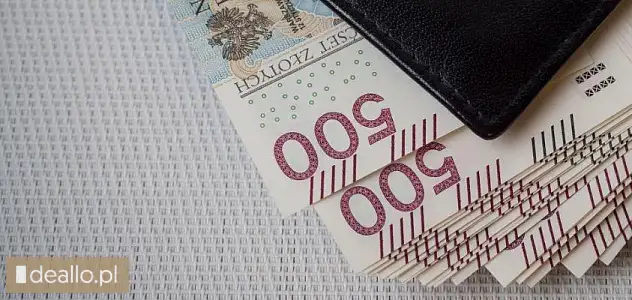 Pozyczka z komornikiem (bez BIK KRD ) oddluzanie - DEALLO.PL