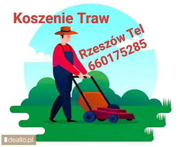 Koszenie traw działek Rzeszów Tyczyn Budziwój tel 660175285 - DEALLO.PL