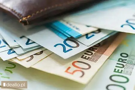 Pożyczka bez sprawdzania BIK - DEALLO.PL