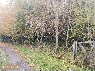 [eLicytacje] II licytacja - Działka rolna niezabudowana, nr 111/5, Krekole gm. Kiwity - DEALLO.PL