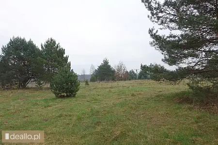 [eLicytacje] I licytacja - nieruchomość gruntowa niezabudowana, działka 1319/1 położona w Szczukowic - DEALLO.PL