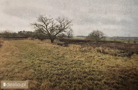 [eLicytacje] II licytacja - Nieruchomość gruntowa niezabudowana poł. w Wysokiej, powiat międzyrzecki - DEALLO.PL