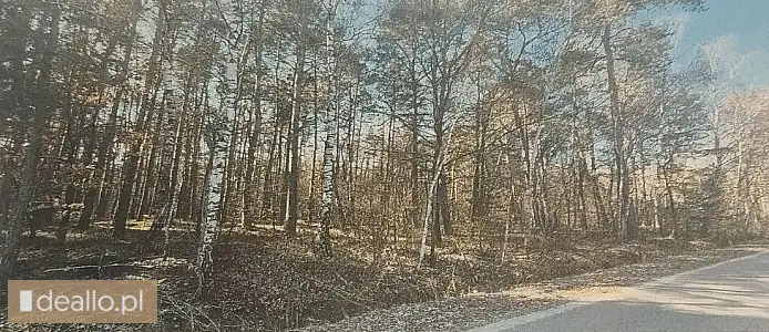 [eLicytacje] I licytacja - Działki rolne nr ew. 496, 497 - Wólka Szelężna - DEALLO.PL