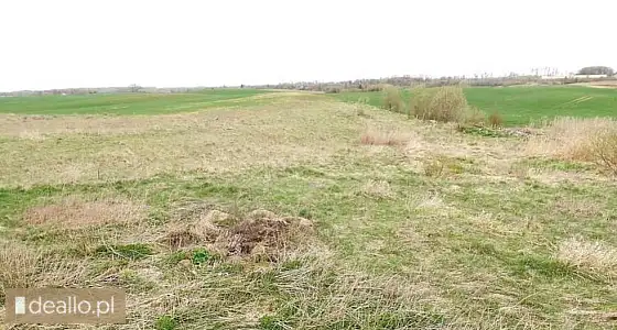 [eLicytacje] II licytacja - Nieruchomość gruntowa niezabudowana położona w Jaśkach, gmina Olecko, dz - DEALLO.PL