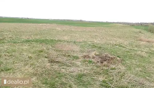 [eLicytacje] II licytacja - Nieruchomość gruntowa niezabudowana położona w Jaśkach, gmina Olecko, dz - DEALLO.PL
