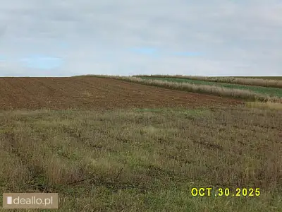 [eLicytacje] II licytacja - Nieruchomość gruntowa niezabudowana - pow. 0,1039 ha - Kiełczewice Górne - DEALLO.PL