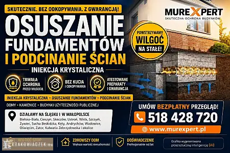 Osuszanie budynków, drenaż fundamentów, iniekcja krystaliczna, izolacje i odwodnienia - DEALLO.PL