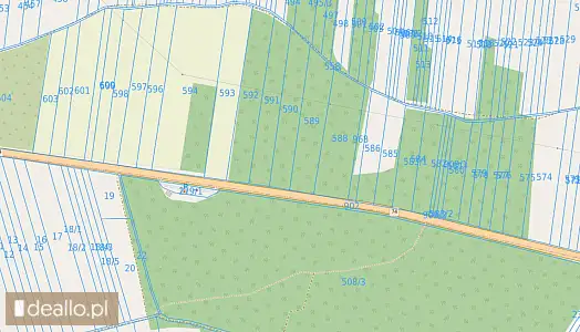 [eLicytacje] II licytacja - Nieruchomość gruntowa niezabudowana - działki nr 591, 592 poł. Dąbrowa ( - DEALLO.PL