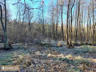 [eLicytacje] I licytacja - Nieruchomość niezabudowana w miejscowości Łęki - DEALLO.PL
