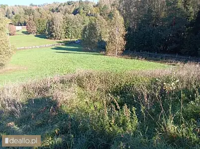 [eLicytacje] III licytacja - Udział  1/2 w nieruchomości gruntowej położonej w  Spręcowie, gmina Dyw - DEALLO.PL