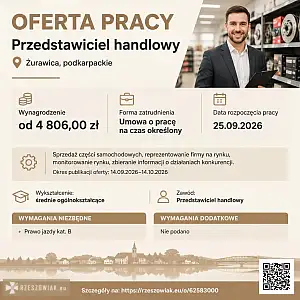 [ePraca] Przedstawiciel handlowy - DEALLO.PL
