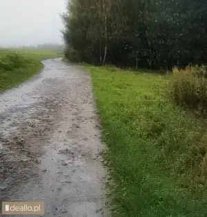 [eLicytacje] III licytacja - Nieruchomość gruntowa - DEALLO.PL