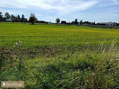 [eLicytacje] I licytacja - Nieruchomość gruntowa niezabudowana Czekanów powierzchnia 2,5918 ha. Udzi - DEALLO.PL
