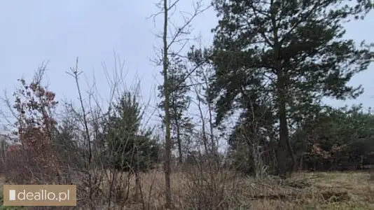 [eLicytacje] II licytacja - Działka rolna nr 661/4 - Janów gm. Tczów - DEALLO.PL