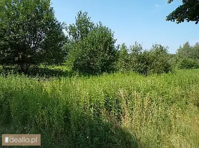 [eLicytacje] I licytacja - Nieruchomość gruntowa - DEALLO.PL