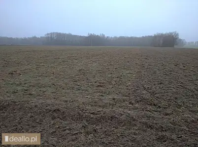 [eLicytacje] II licytacja - Nieruchomość gruntowa nr 388 o pow. 3,3103 ha, położona w Krasówce, pow. - DEALLO.PL