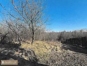[eLicytacje] I licytacja - Działka gruntowa 32,26 ara - DEALLO.PL