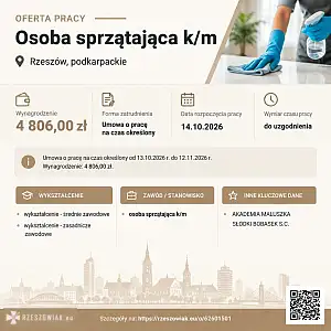 [ePraca] osoba sprzątająca k/m - DEALLO.PL