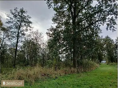 [eLicytacje] II licytacja - Nieruchomość gruntowa 12,0700 ha, Podgórze (gmina Braniewo) - DEALLO.PL
