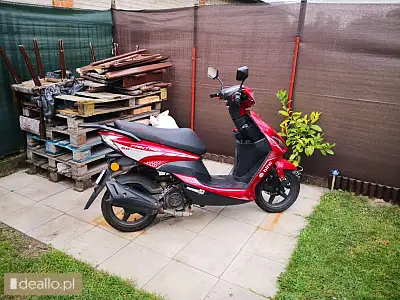 Motorower dwukołowy znen canoe 50 - ii licytacja - [elicytacje] - DEALLO.PL