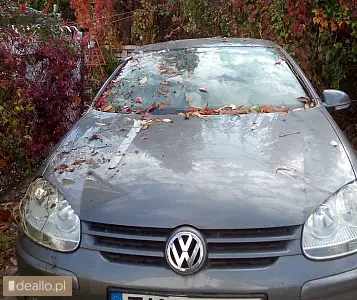 Volkswagen Golf rok prod. 2007 - I licytacja - [eLicytacje] - DEALLO.PL